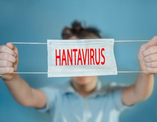 hantavirus-196807488s-1200×800