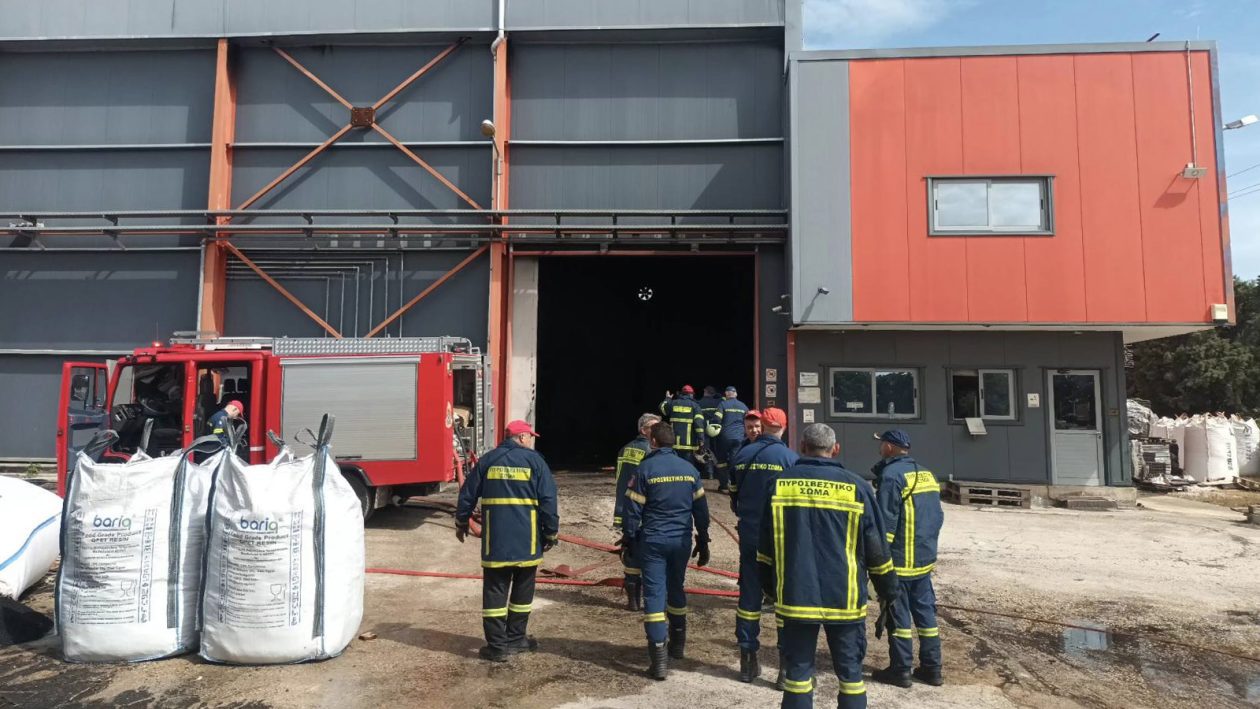 vipe-patras-fotia-2 (1)