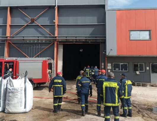 vipe-patras-fotia-2 (1)