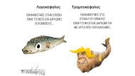 Τραμποκέφαλος
