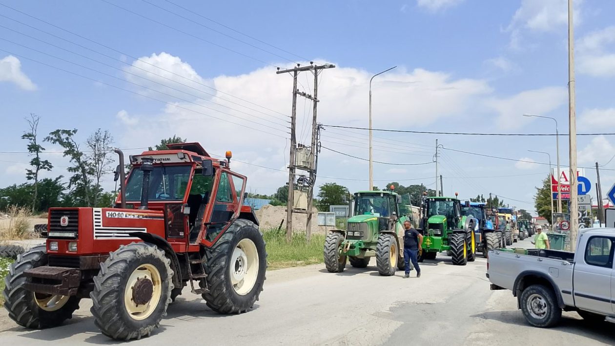 agrotes-malgara-04