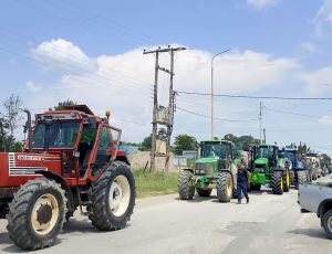 agrotes-malgara-04