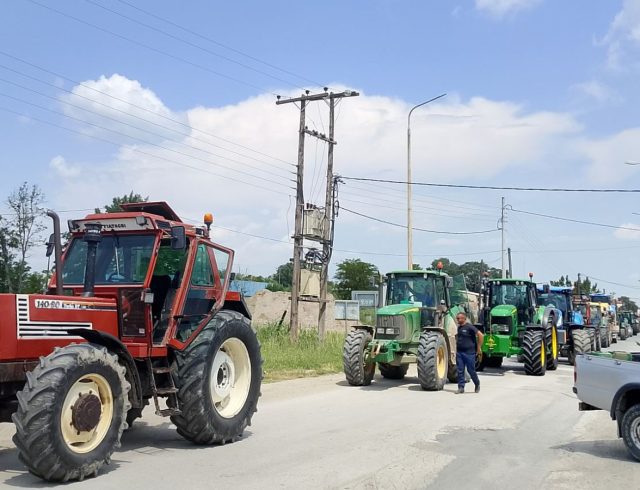 agrotes-malgara-04