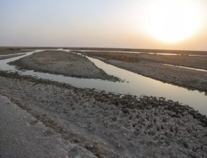ap22318479624561-768×512