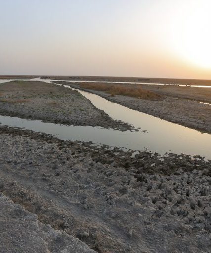 ap22318479624561-768×512