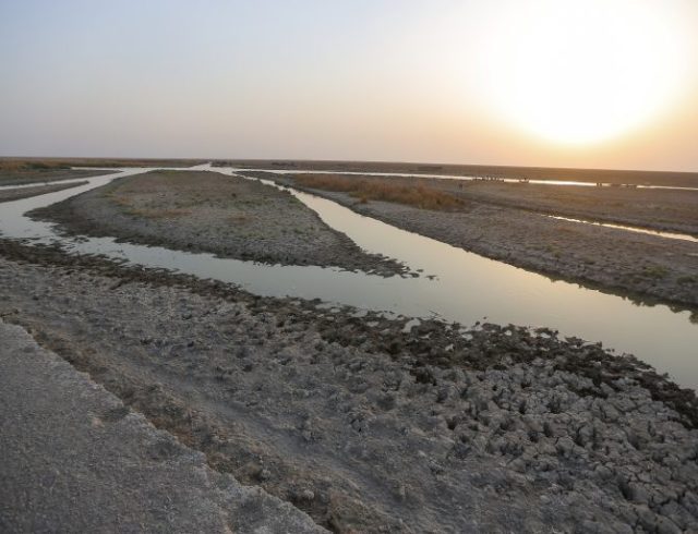 ap22318479624561-768×512