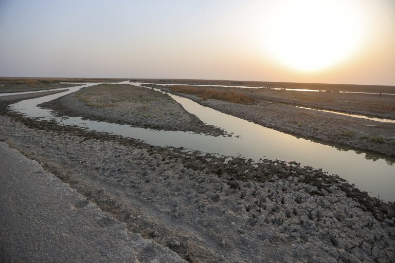 ap22318479624561-768×512