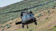black-hawk