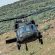 black-hawk