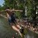 canicule_france