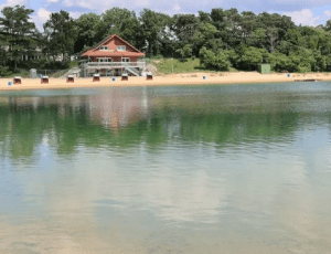 hale1