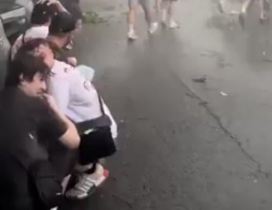 kolonia_kataigida