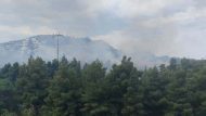 pyrkagia-filothei-768×456