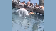 rodos