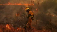 IMG_4381