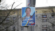 afd