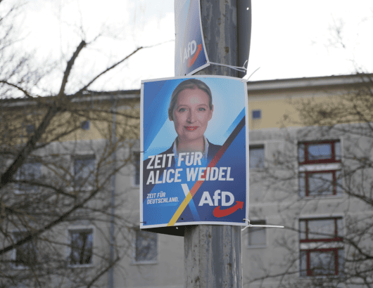 afd