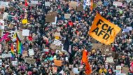 afd-protest