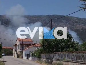 fotia-episkopi-euvoia-2