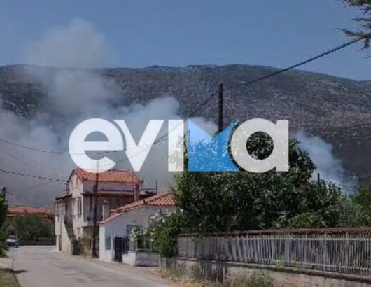fotia-episkopi-euvoia-2