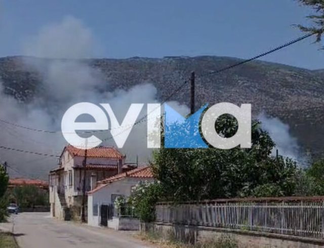 fotia-episkopi-euvoia-2