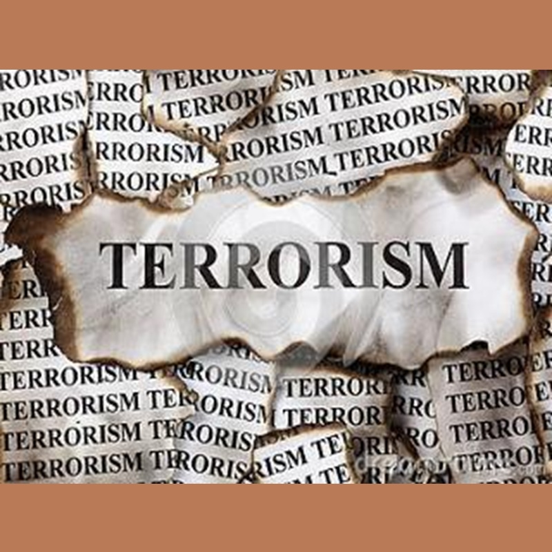 terrorism2 800X800