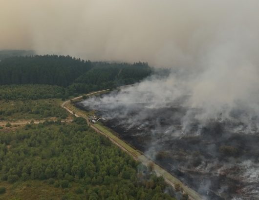 BELGIUM-ENVIRONMENT-CLIMATE-WEATHER-WILDFIRE