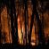 attiki-fotia-new-19-ap