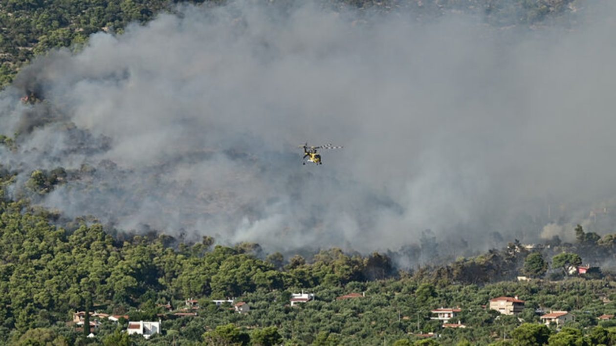 fotia-attiki