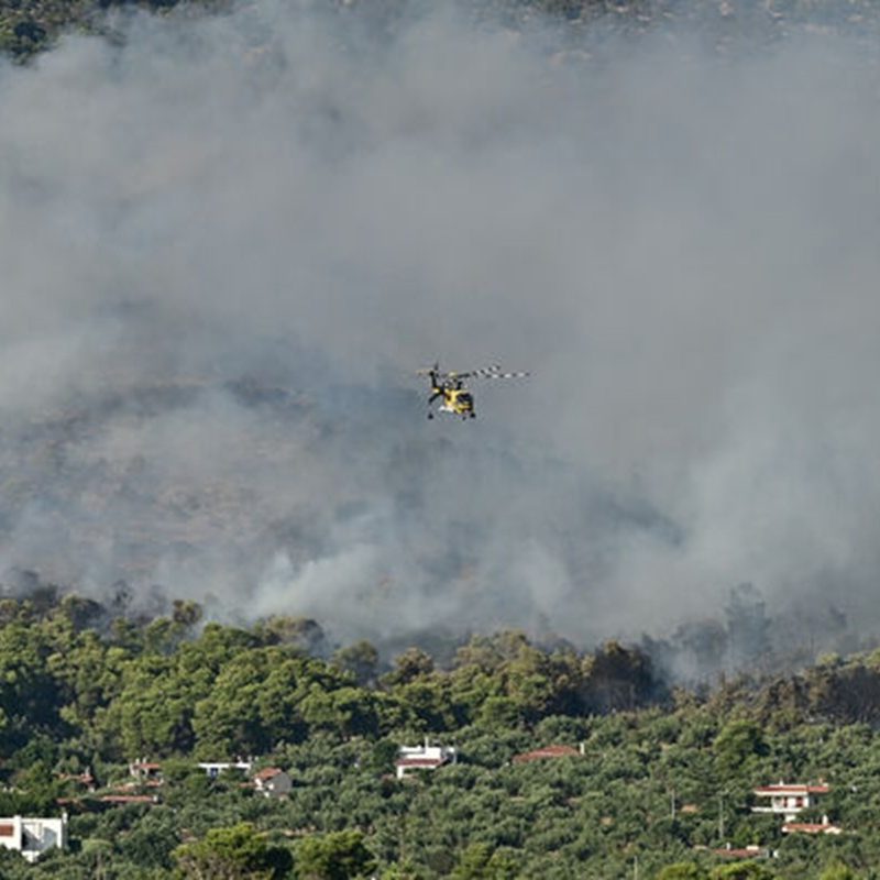 fotia-attiki