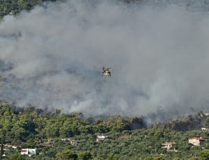 fotia-attiki