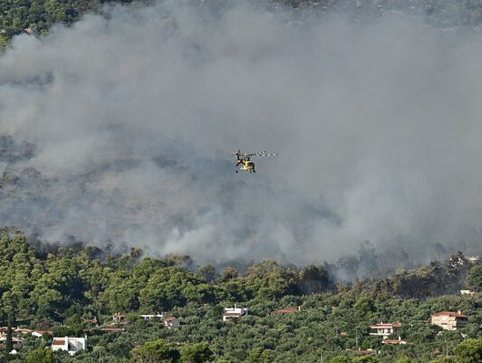 fotia-attiki