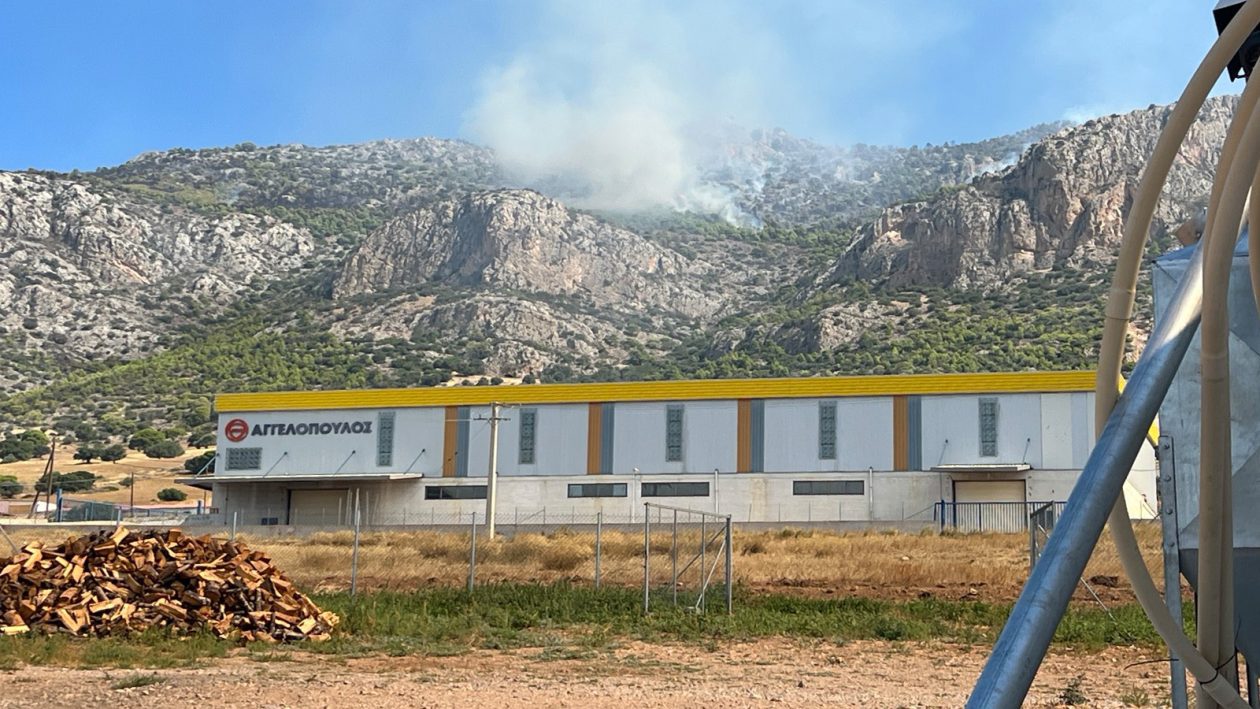 fotia-attiki-kondili-8