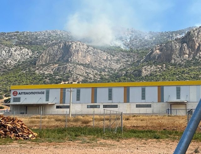 fotia-attiki-kondili-8