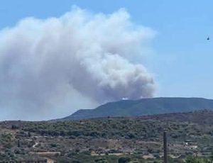 fotia-salamina-1