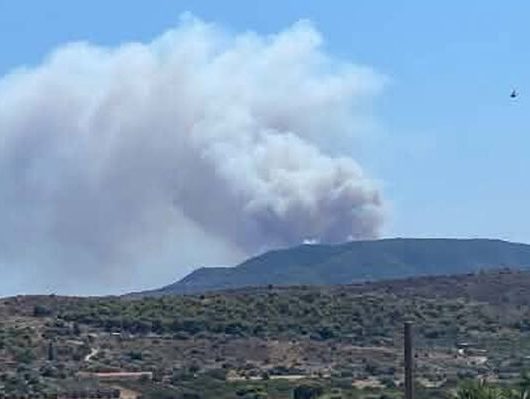 fotia-salamina-1