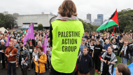 palestine action