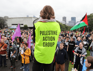 palestine action