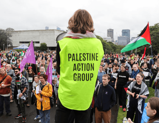 palestine action