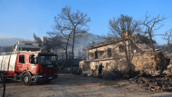 σαλαμινα1