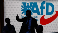afd