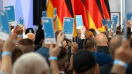afd