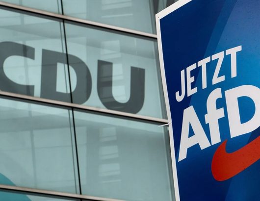 afd_cdu