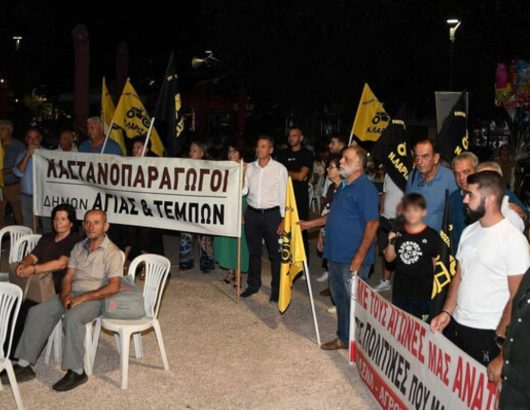 agrotes-agia-1