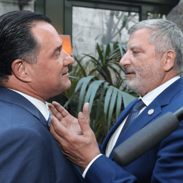 γεωργιαδης πατουλης