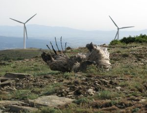 5.credits_Δ.-Βασιλάκης