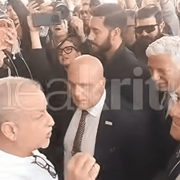 αδωνις χανια