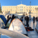 φοιτητες σκηνες